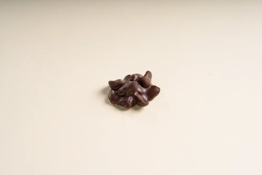 Dark Rocher