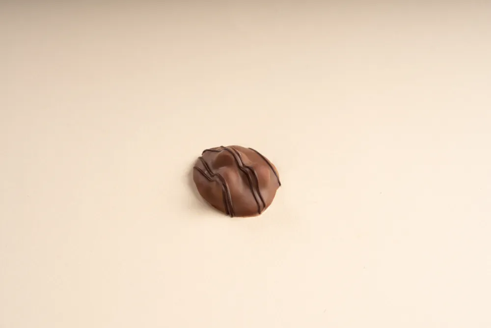 Hazelnut Milk Chocolate